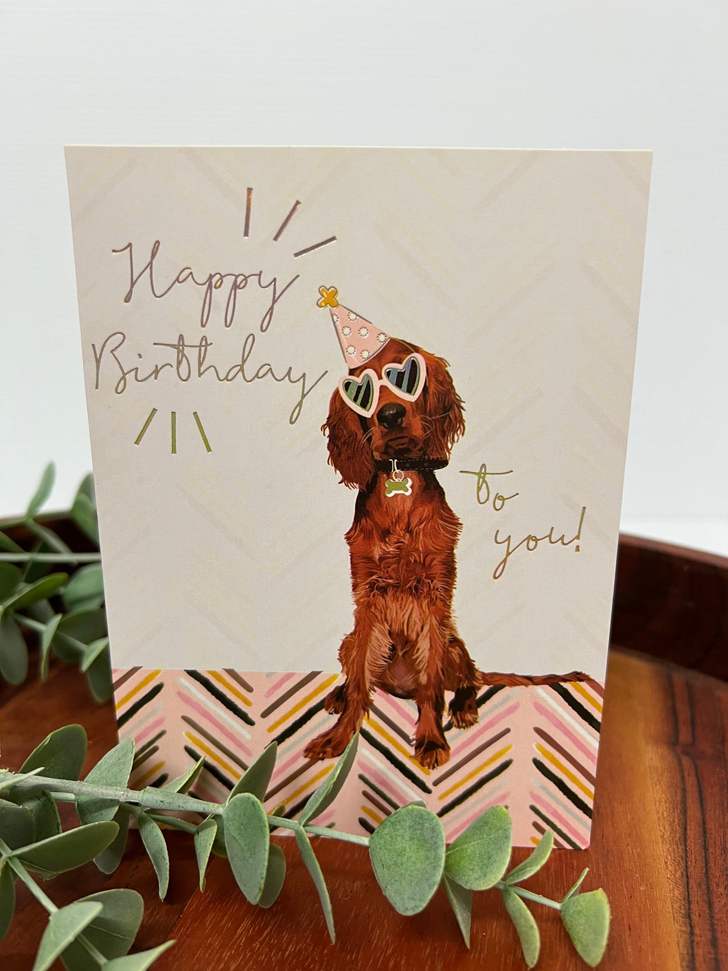 Dog & Glasses Birthday Card